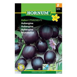 Aubergine