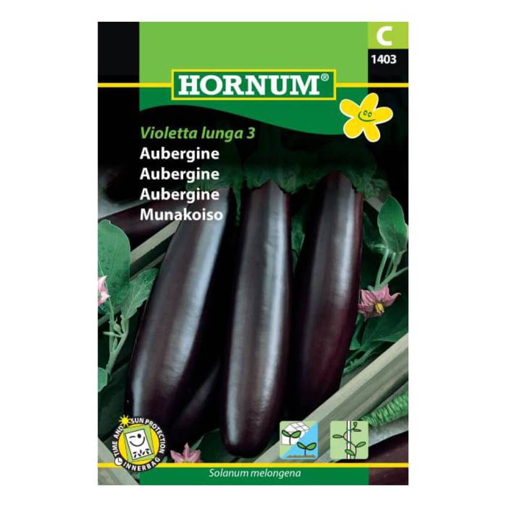 Aubergine