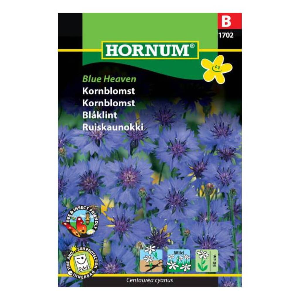 Kornblomst