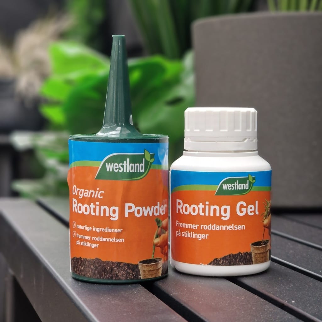 Roddanner gel | Rooting gel