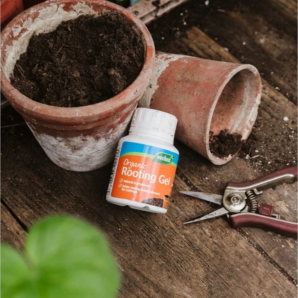 Roddanner gel | Rooting gel
