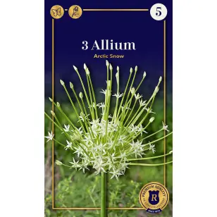 Blomsterløg - Allium Schubertii Arctic Snow - 3 stk.