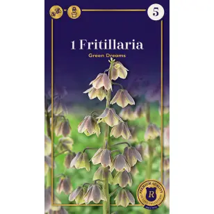 Vibeæg - Fritillaria Green Dreams - 1 stk.
