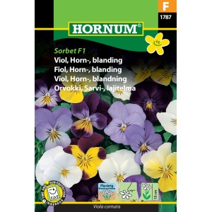 Hornviol frø