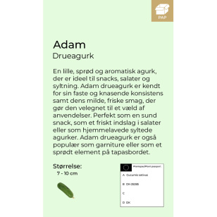 Adam drueagurk