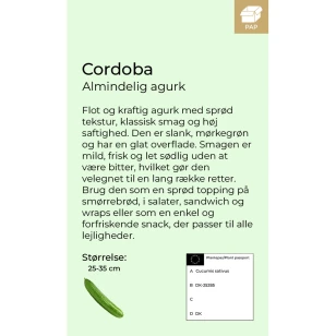 Cordopa agurkplante