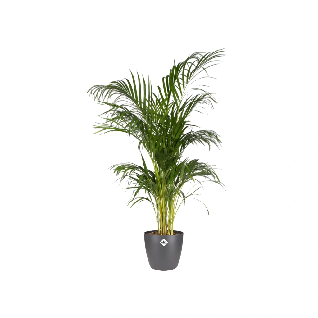 Elho Brussel Round - antracit - 14cm.