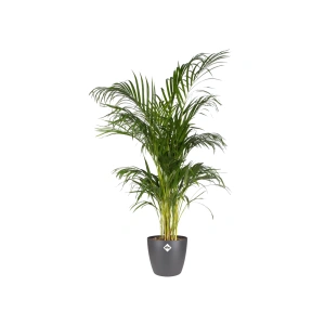 Elho Brussel Round - antracit - 14cm.