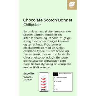 Chocolate Scotch Bonnet chilipeber