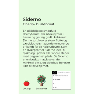 Siderno cherrytomat