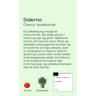Siderno cherrytomat