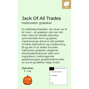 Jack Of All Trades Halloween Græskar