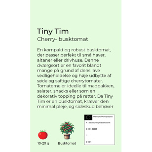 Tiny Tim cherry - busktomat