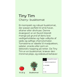 Tiny Tim cherry - busktomat